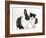 Black-And-White Kitten with Blue Dutch Rabbit-Jane Burton-Framed Photographic Print