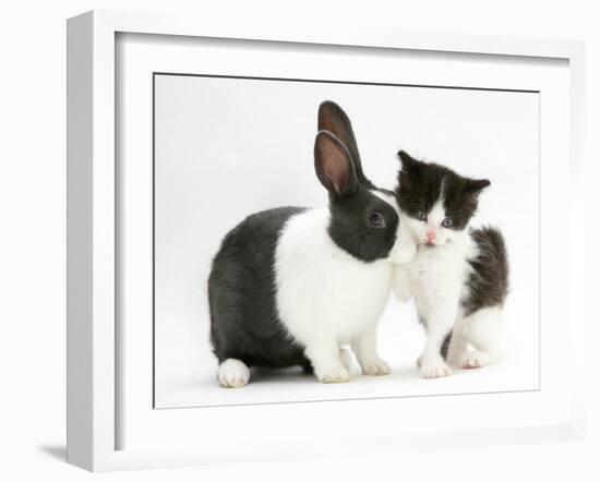 Black-And-White Kitten with Blue Dutch Rabbit-Jane Burton-Framed Photographic Print