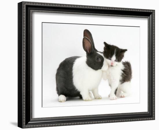 Black-And-White Kitten with Blue Dutch Rabbit-Jane Burton-Framed Photographic Print