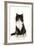 Black and White Kitten-null-Framed Photographic Print