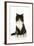 Black and White Kitten-null-Framed Photographic Print