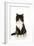 Black and White Kitten-null-Framed Photographic Print