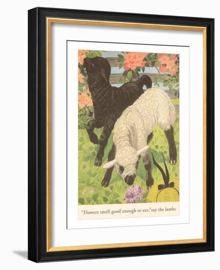 Black and White Lamb-null-Framed Art Print