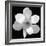 Black and White Magnolia Flower-Anna Miller-Framed Photographic Print