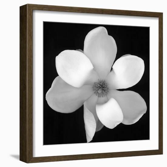 Black and White Magnolia Flower-Anna Miller-Framed Photographic Print