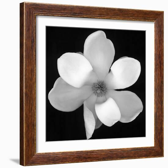 Black and White Magnolia Flower-Anna Miller-Framed Photographic Print