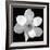 Black and White Magnolia Flower-Anna Miller-Framed Photographic Print