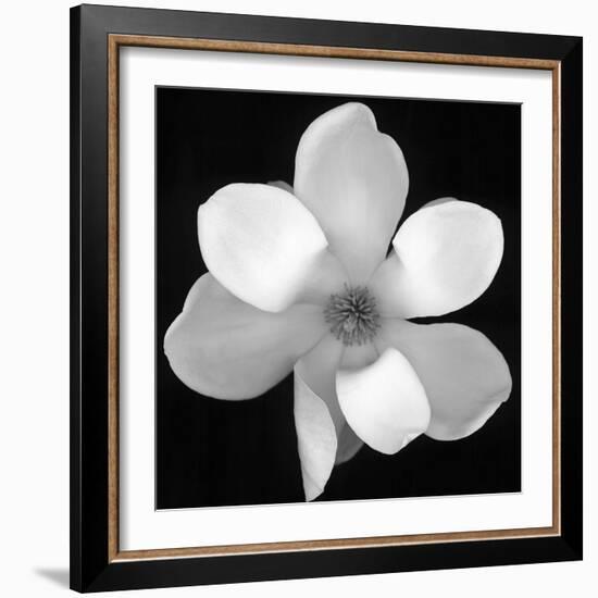 Black and White Magnolia Flower-Anna Miller-Framed Photographic Print