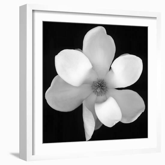 Black and White Magnolia Flower-Anna Miller-Framed Photographic Print