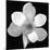 Black and White Magnolia Flower-Anna Miller-Mounted Photographic Print