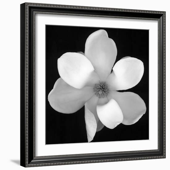 Black and White Magnolia Flower-Anna Miller-Framed Photographic Print