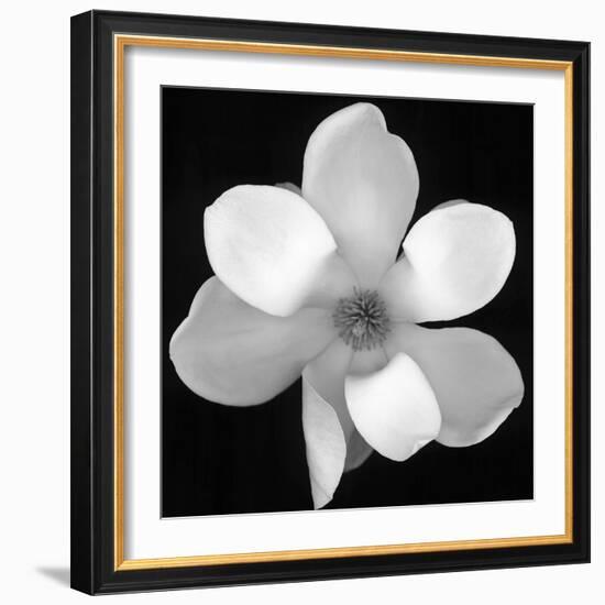 Black and White Magnolia Flower-Anna Miller-Framed Photographic Print