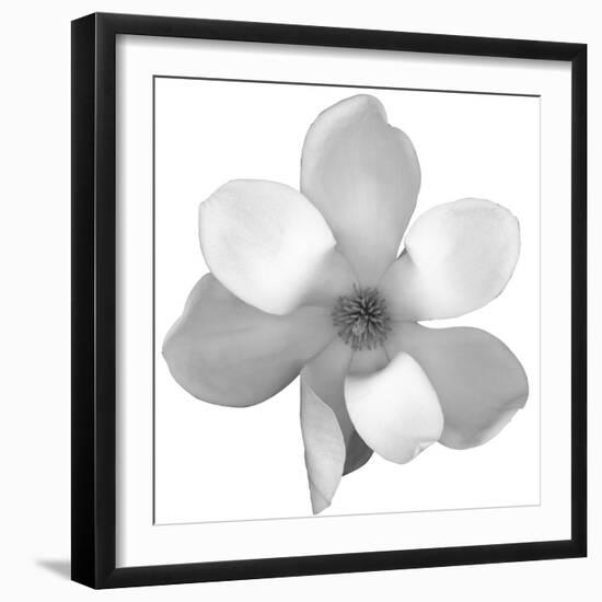 Black and White Magnolia Flower-Anna Miller-Framed Photographic Print