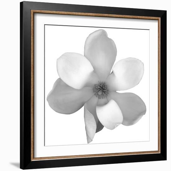 Black and White Magnolia Flower-Anna Miller-Framed Photographic Print