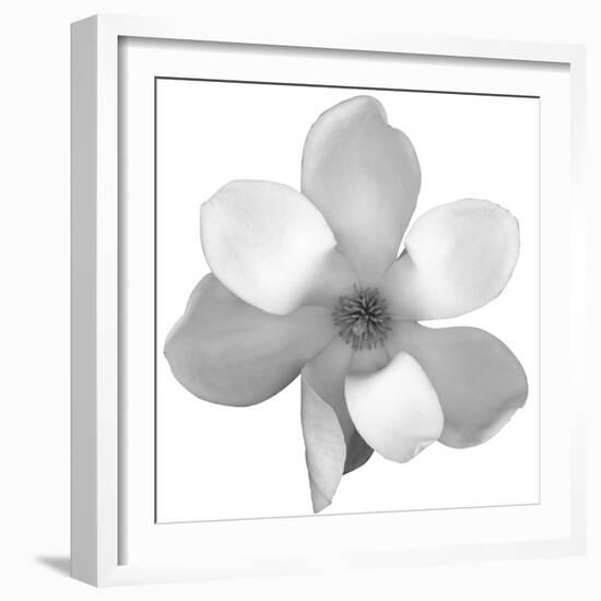 Black and White Magnolia Flower-Anna Miller-Framed Photographic Print