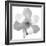 Black and White Magnolia Flower-Anna Miller-Framed Photographic Print