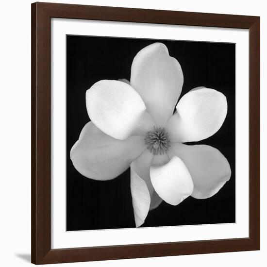 Black and White Magnolia Flower-Anna Miller-Framed Giclee Print