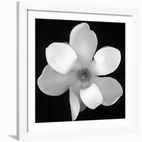 Black and White Magnolia Flower-Anna Miller-Framed Giclee Print