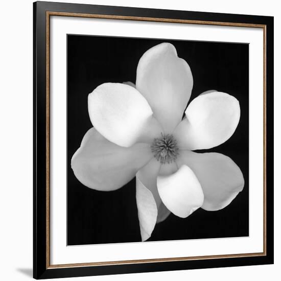 Black and White Magnolia Flower-Anna Miller-Framed Giclee Print