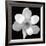 Black and White Magnolia Flower-Anna Miller-Framed Giclee Print