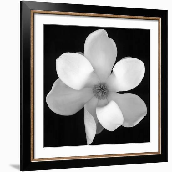 Black and White Magnolia Flower-Anna Miller-Framed Giclee Print