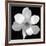 Black and White Magnolia Flower-Anna Miller-Framed Giclee Print