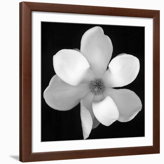 Black and White Magnolia Flower-Anna Miller-Framed Giclee Print