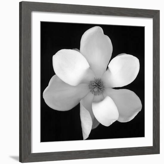 Black and White Magnolia Flower-Anna Miller-Framed Giclee Print