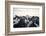 Black and White Mountain Landscape in the Alps, France.-badahos-Framed Photographic Print