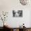 Black and White Paintings-Stylone-Photographic Print displayed on a wall