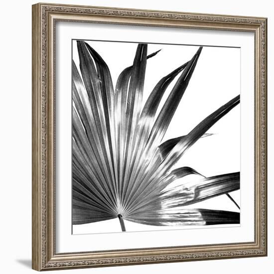 Black and White Palms I-Jason Johnson-Framed Art Print