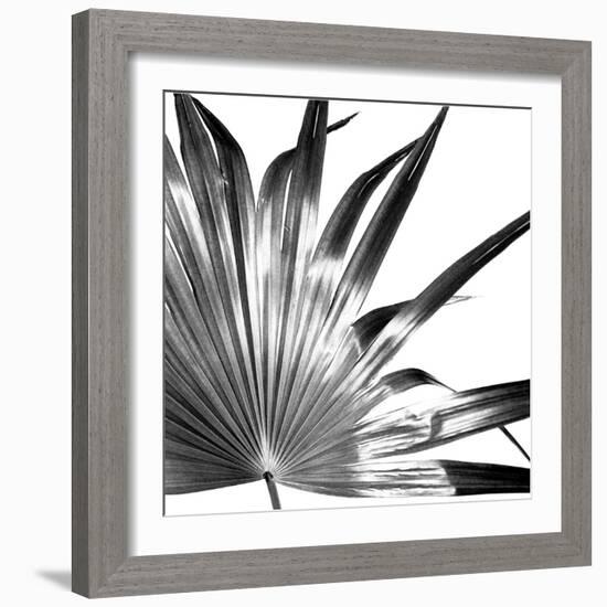 Black and White Palms I-Jason Johnson-Framed Art Print