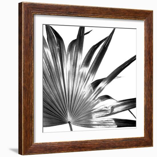 Black and White Palms I-Jason Johnson-Framed Art Print