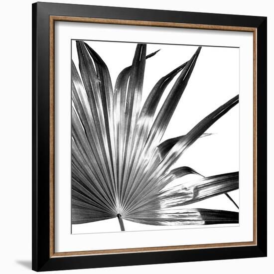 Black and White Palms I-Jason Johnson-Framed Art Print