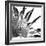 Black and White Palms I-Jason Johnson-Framed Art Print