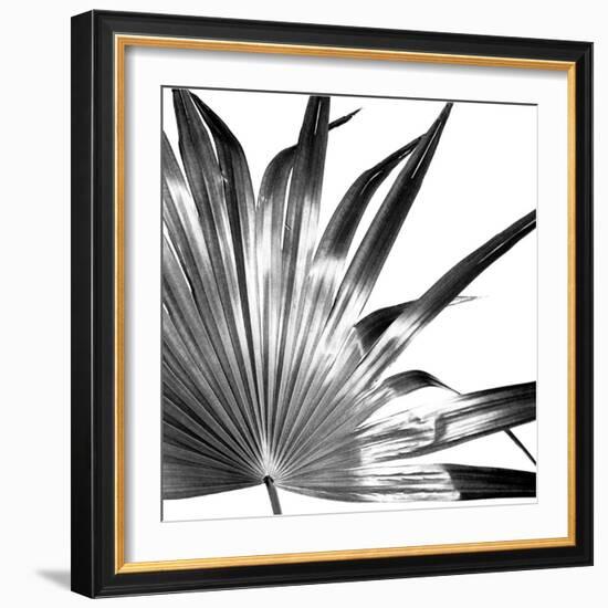 Black and White Palms I-Jason Johnson-Framed Art Print