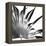 Black and White Palms I-Jason Johnson-Framed Stretched Canvas