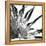 Black and White Palms I-Jason Johnson-Framed Stretched Canvas