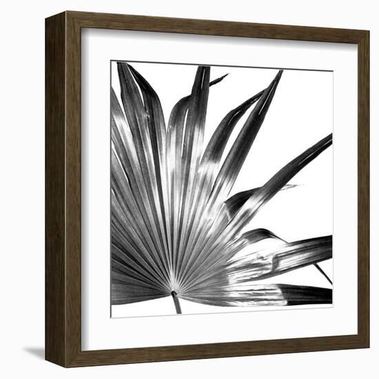 Black and White Palms I-Jason Johnson-Framed Art Print