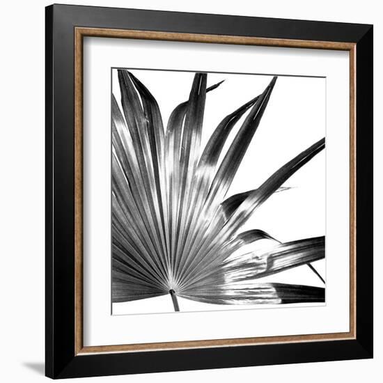 Black and White Palms I-Jason Johnson-Framed Art Print