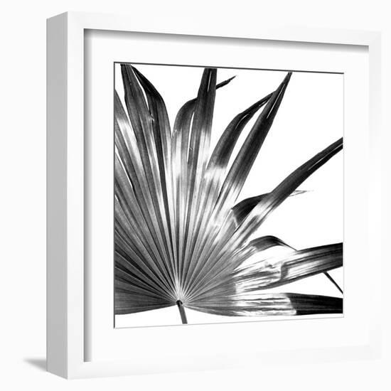 Black and White Palms I-Jason Johnson-Framed Art Print