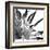 Black and White Palms I-Jason Johnson-Framed Art Print