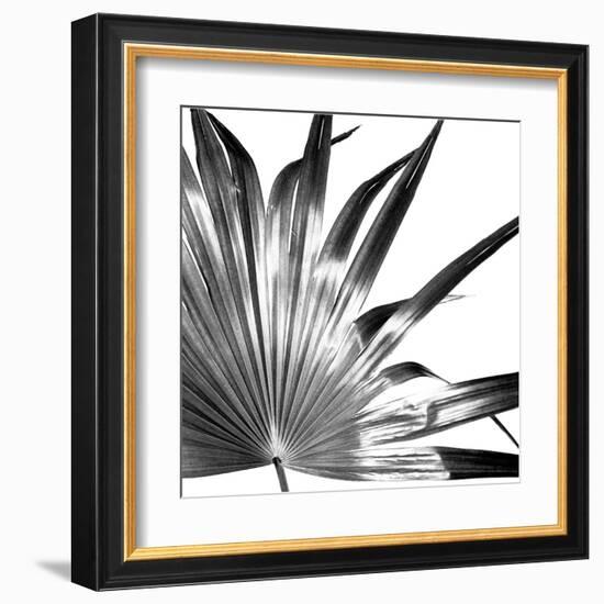 Black and White Palms I-Jason Johnson-Framed Art Print