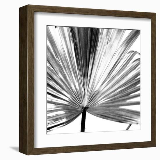 Black and White Palms III-Jason Johnson-Framed Art Print