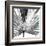 Black and White Palms III-Jason Johnson-Framed Art Print