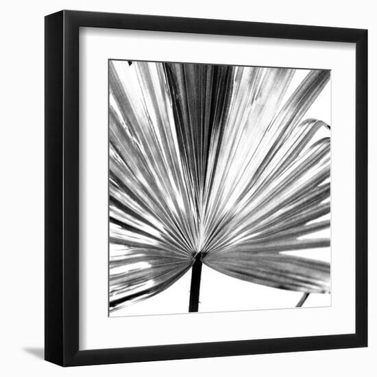 Black and White Palms III-Jason Johnson-Framed Art Print