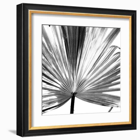 Black and White Palms III-Jason Johnson-Framed Art Print