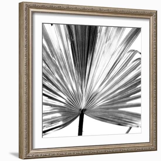 Black and White Palms III-Jason Johnson-Framed Art Print