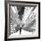 Black and White Palms III-Jason Johnson-Framed Art Print