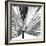 Black and White Palms III-Jason Johnson-Framed Art Print